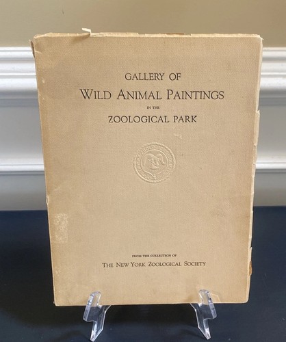 Gallery wild animal - gallery,