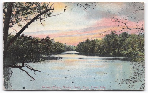 1908 bronx river - 1908,