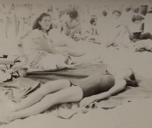Photo bronx orchard beach - bronx,,